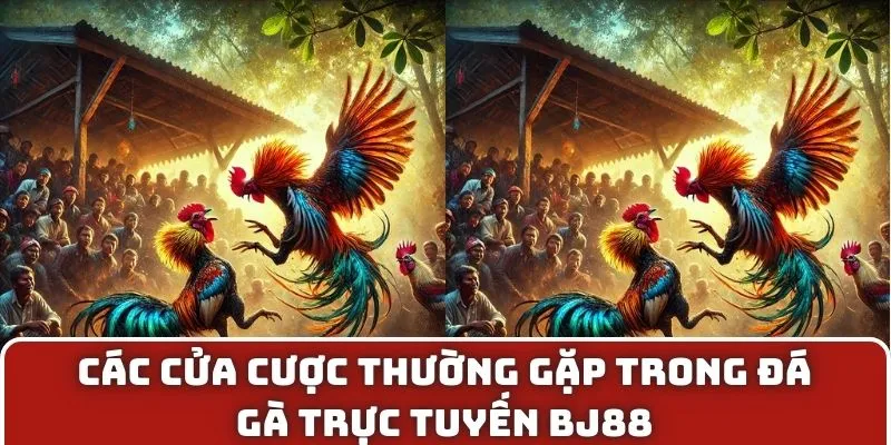 Các cửa cược thường gặp trong đá gà trực tuyến BJ88