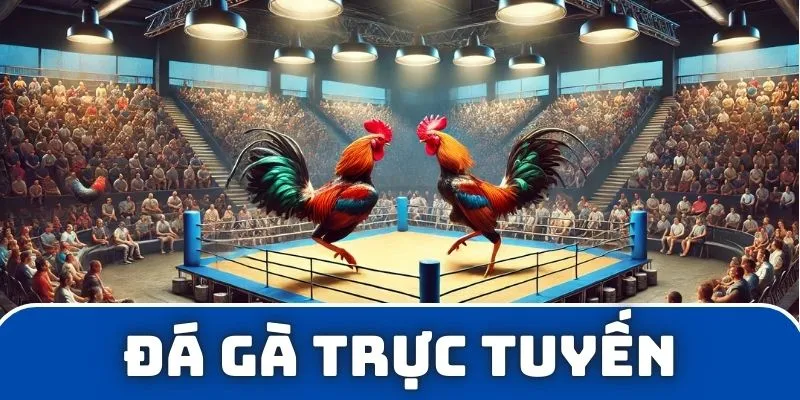 Đá gà trực tuyến