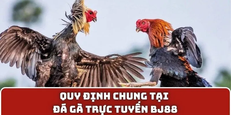 Quy định chung tại đá gà trực tuyến BJ88